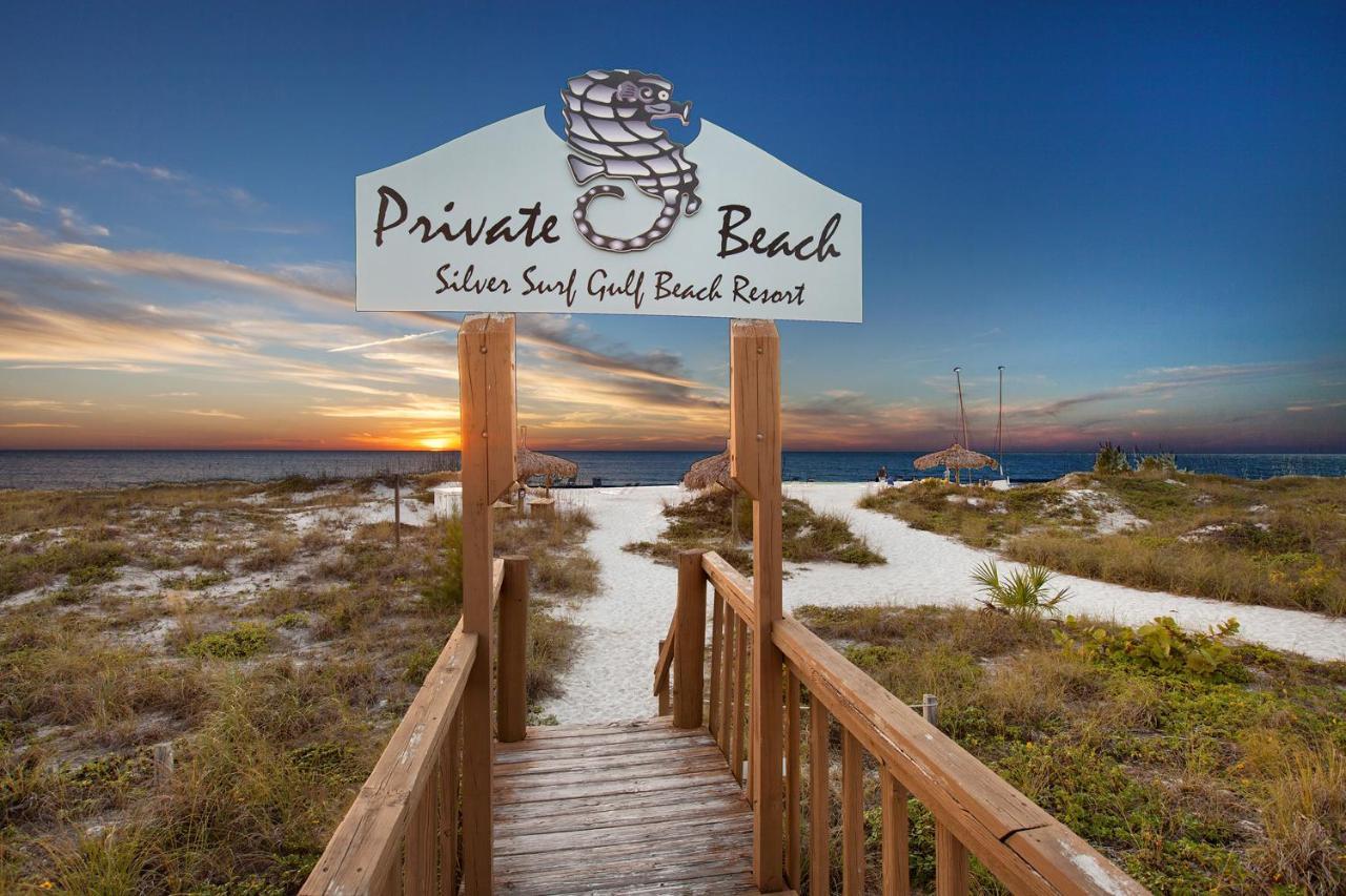 Silver Surf Gulf