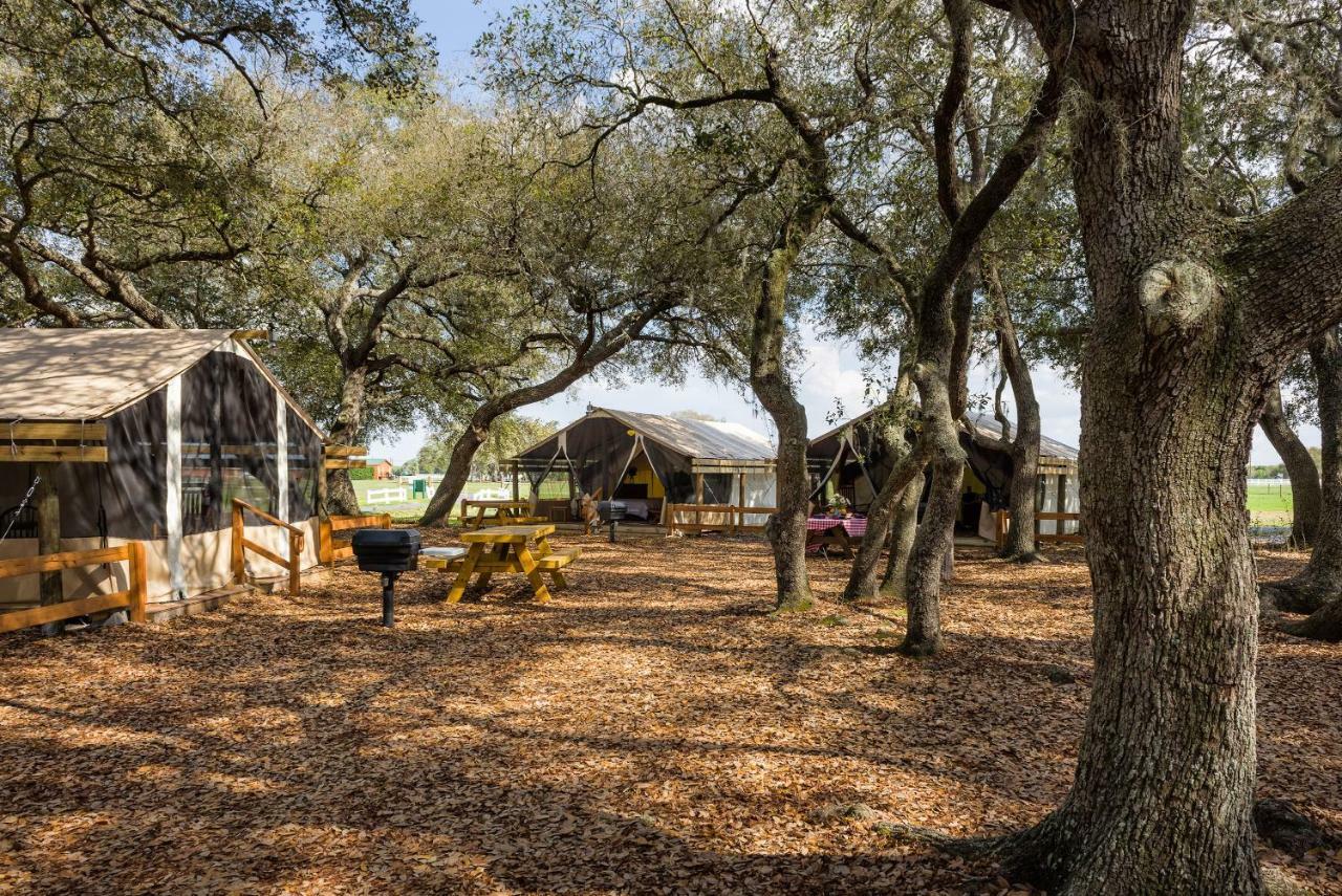 Westgate & Rodeo Resort