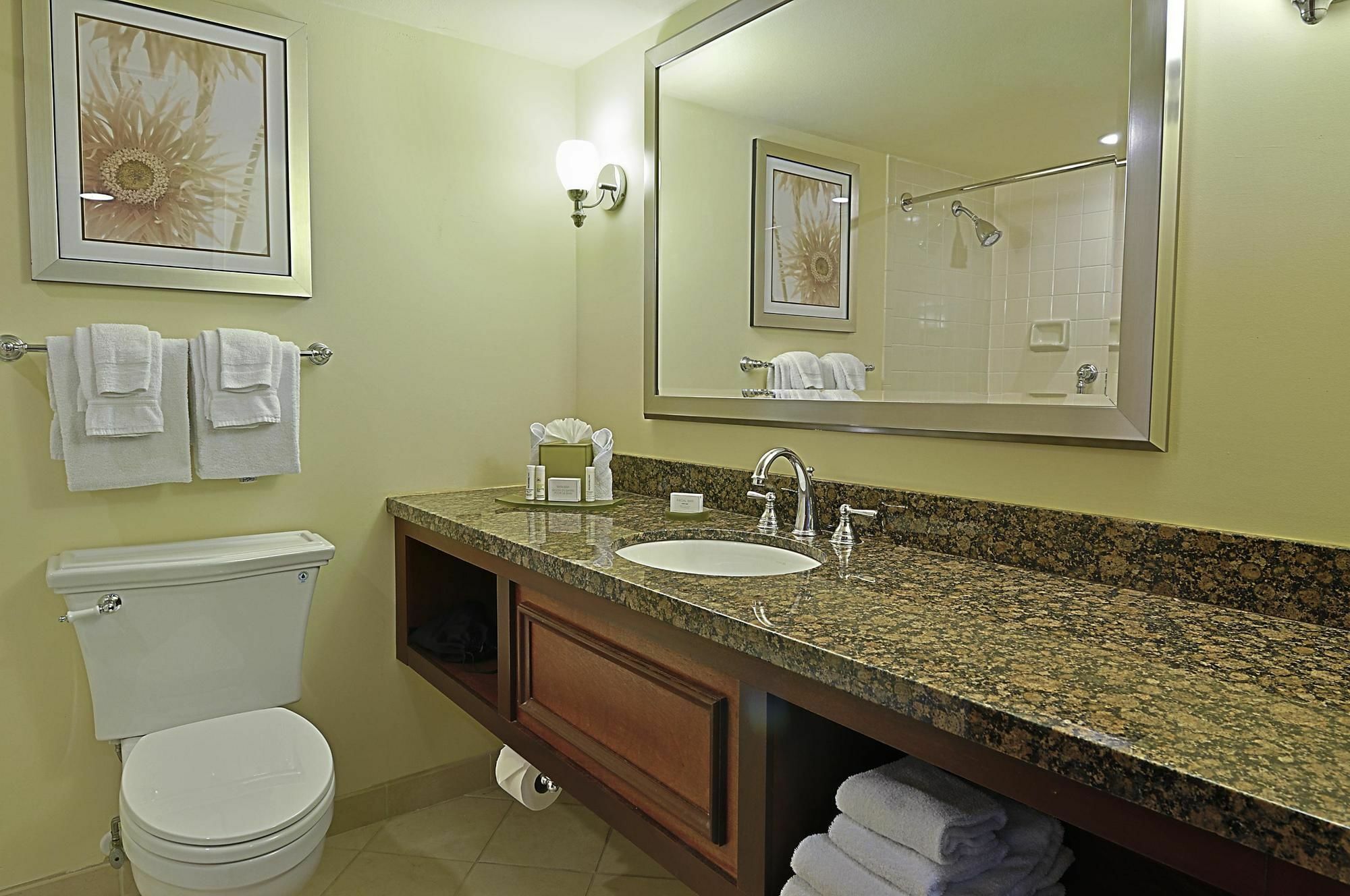 Courtyard By Marriott Sarasota/riverfront 3*