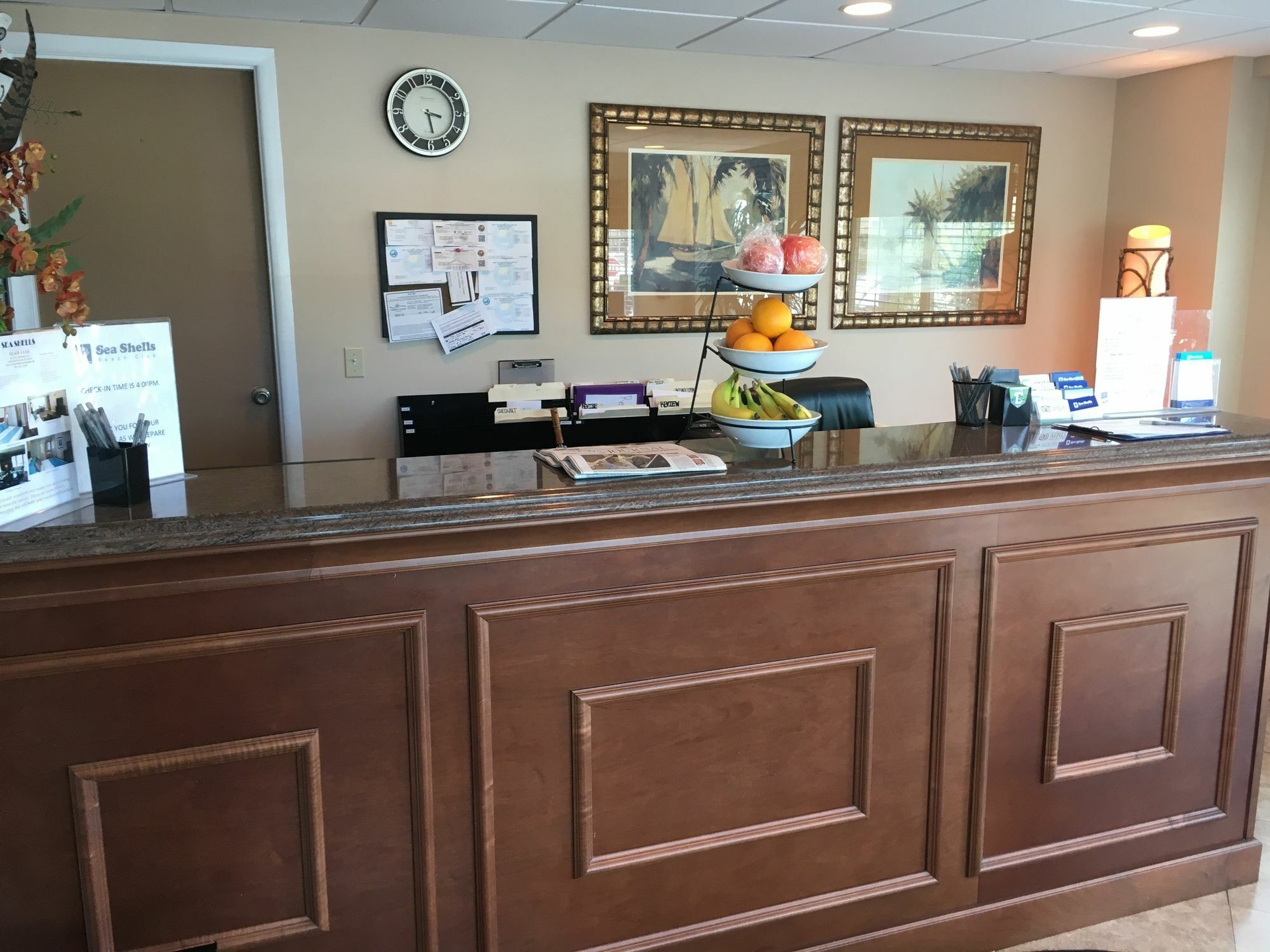 Hotel Sea Shells Club 3*