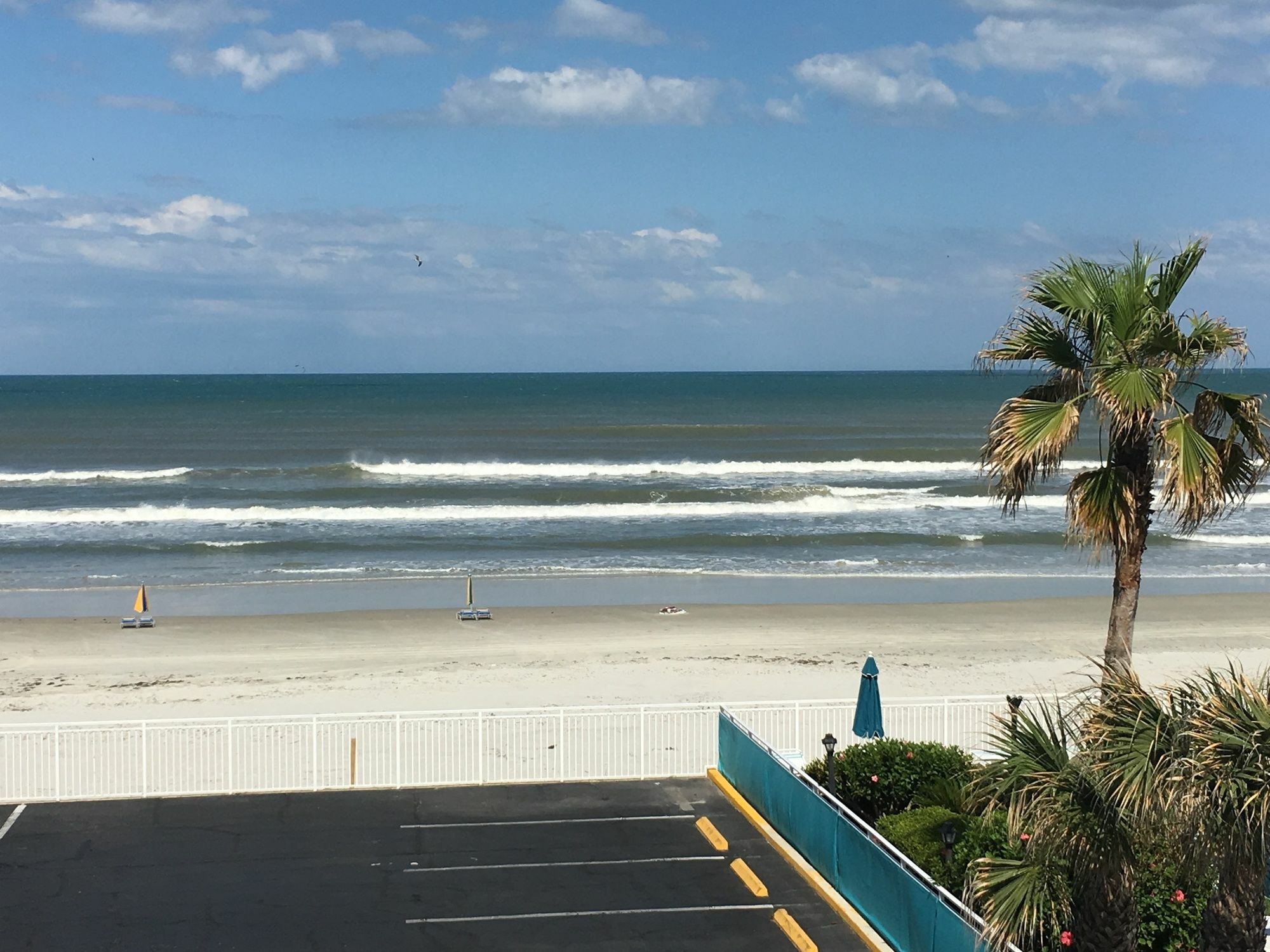 Sea Shells Club 3*