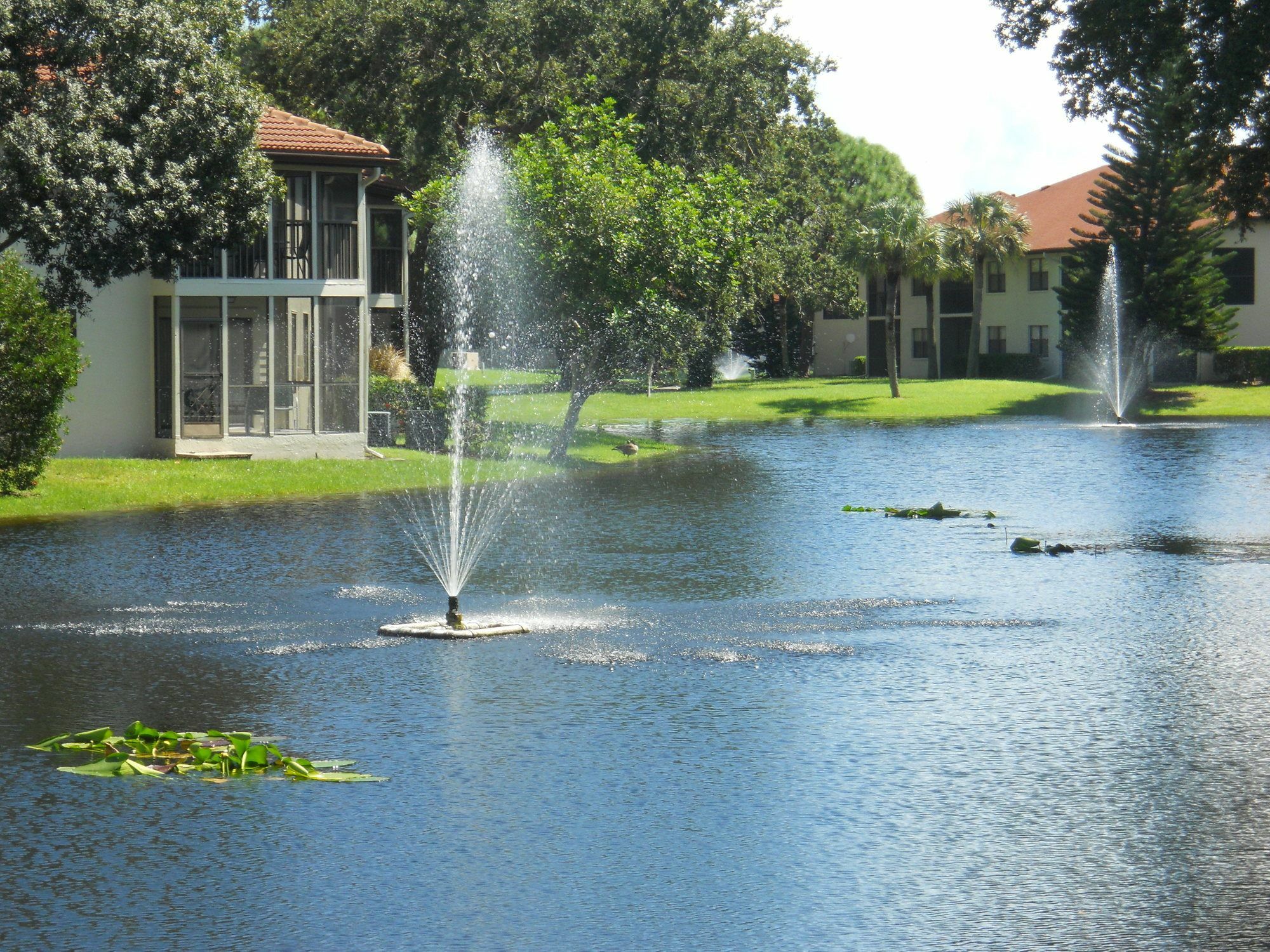 Hotel Shorewalk Vacation Bradenton