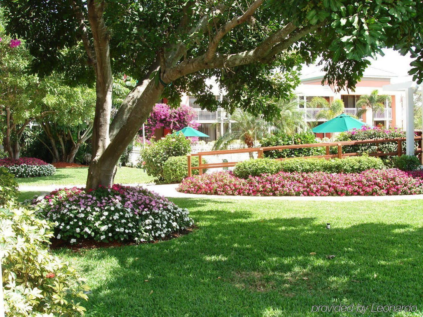 Collins Naples