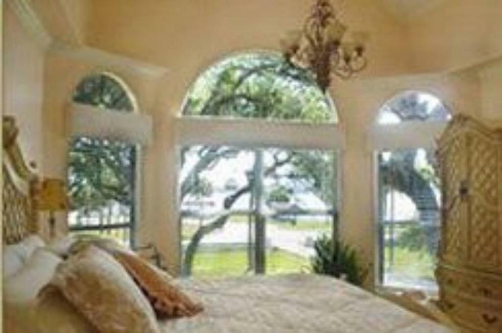 The River Lily Daytona Beach