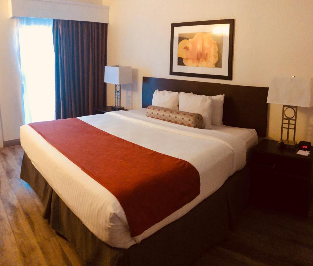 Baymont By Wyndham Near Busch Gardens Tampa