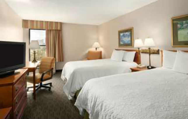 Hotel Hampton Orlando-convention Center International Drive Area 3*
