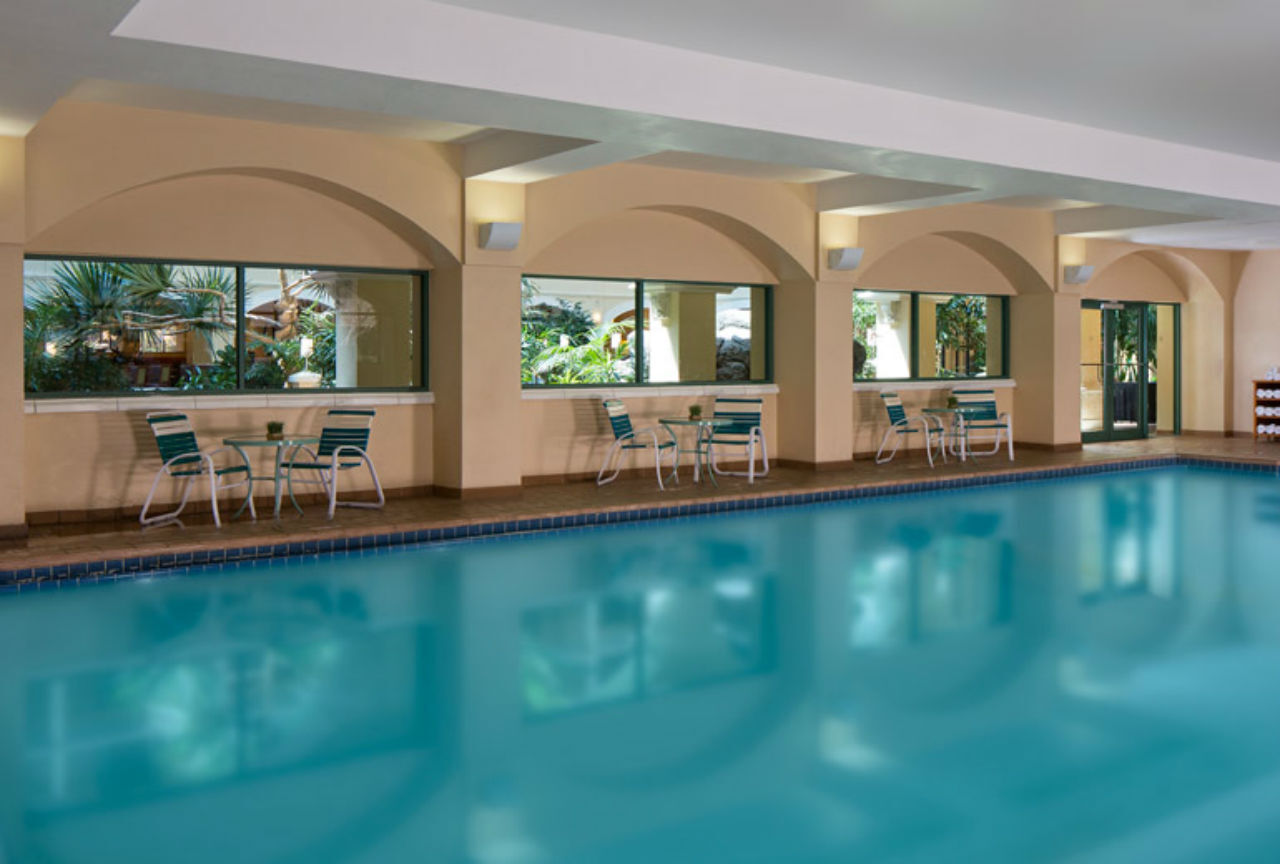 Four Points By Sheraton Airport Westshore Hotel Tampa
