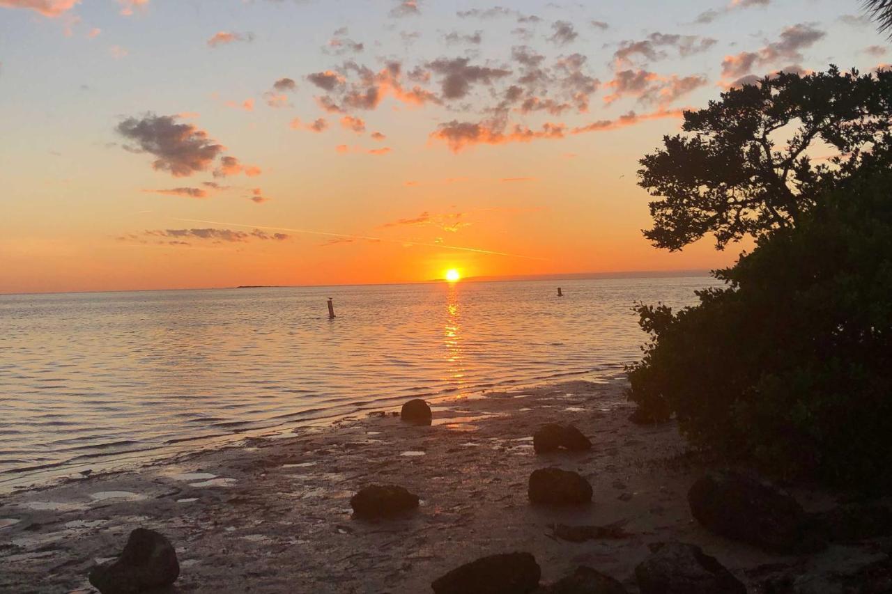 Large Tampa-area - 15 Mi Clearwater Beach!