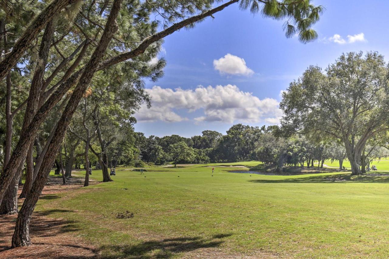 Large Tampa-area - 15 Mi Clearwater Beach! * Palm Harbor