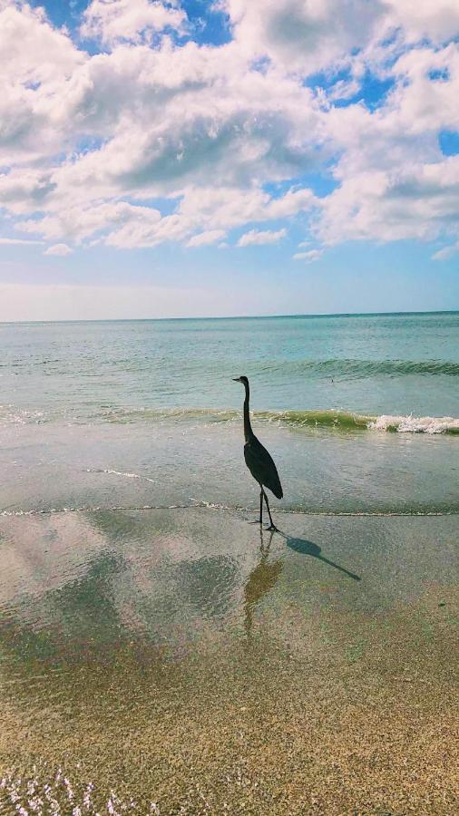 Inn Isles Madeira Beach