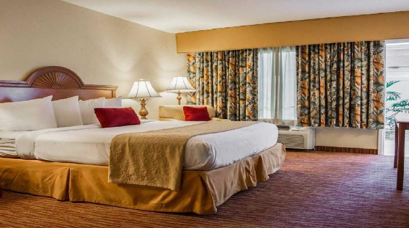 Hotel Winter The Dolphin's Club, Ascend Collection Clearwater Beach