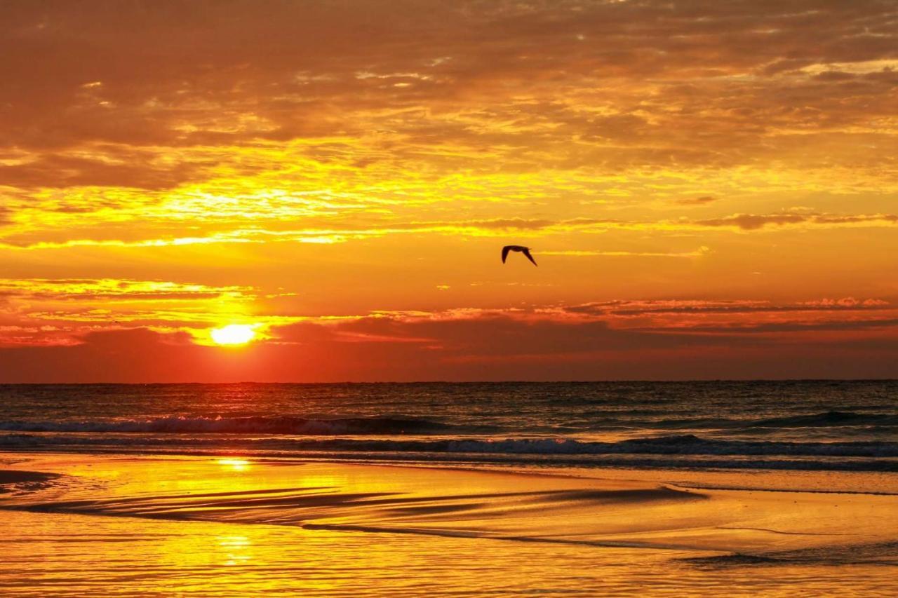 1007 Seychelles * Panama City Beach